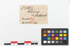 Etiketten zu Spinnwirtel (NHMW-PRAE-023862)
